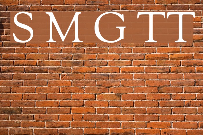 Sorts Mill Goudy TT Font examples
