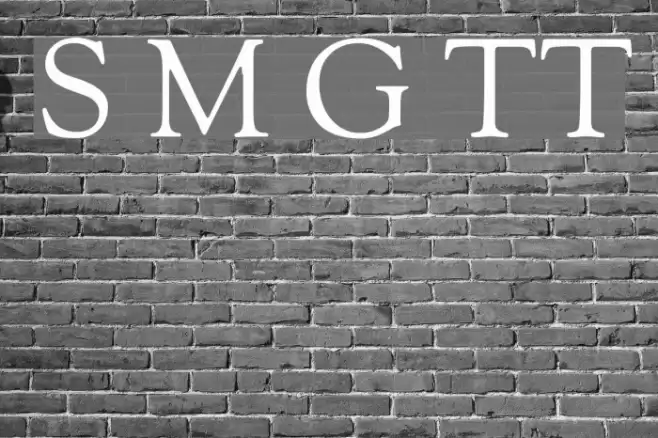 Sorts Mill Goudy TT  examples
