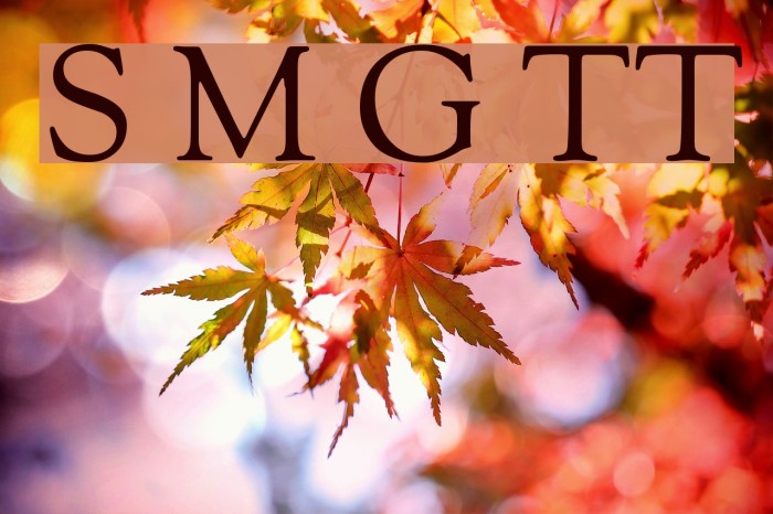 Sorts Mill Goudy TT Font examples