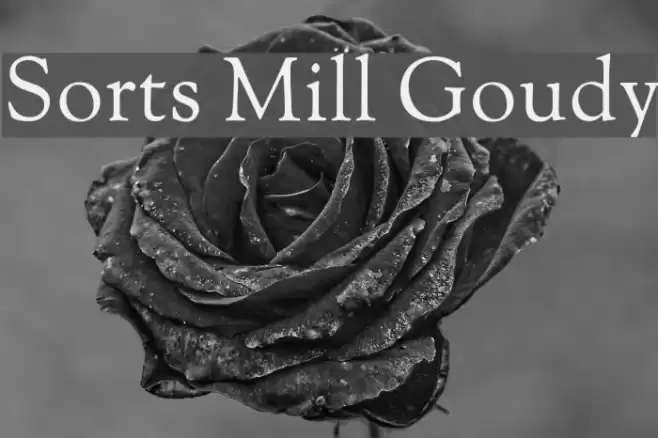 Sorts Mill Goudy Font examples