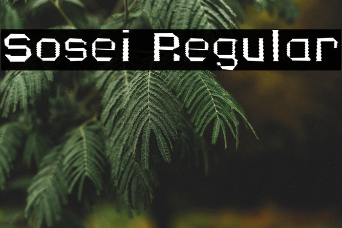 Sosei Regular Example 3