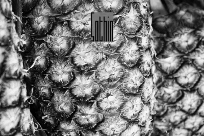 Sothin Font examples