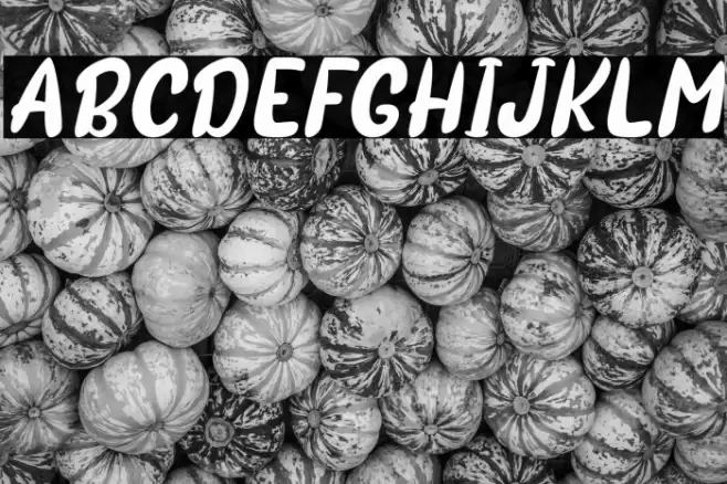 Sotis Italic Font examples