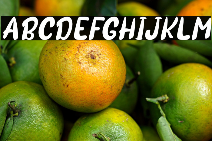 Sotis Italic Example 2