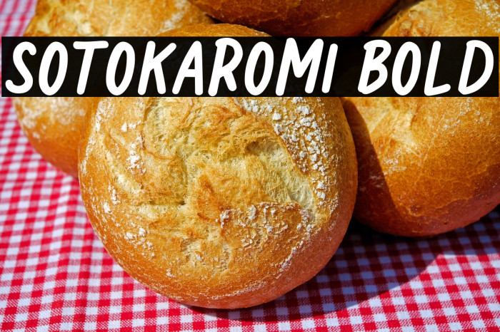 Sotokaromi Bold Example 1