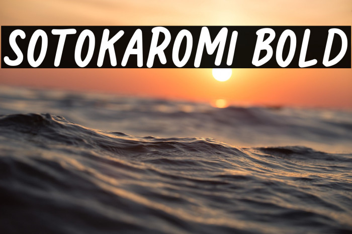 Sotokaromi Bold Example 2