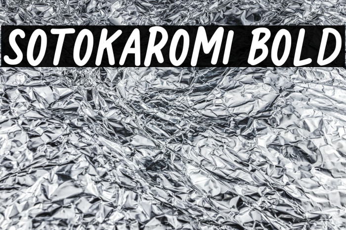 Sotokaromi Bold Example 3