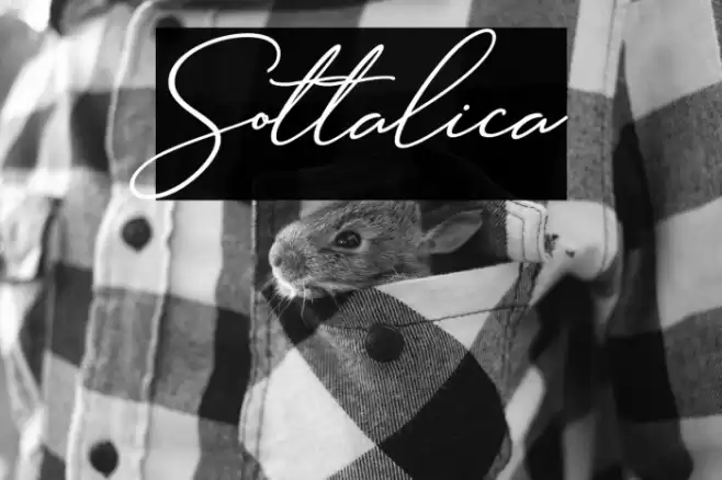 Sottalica Font examples