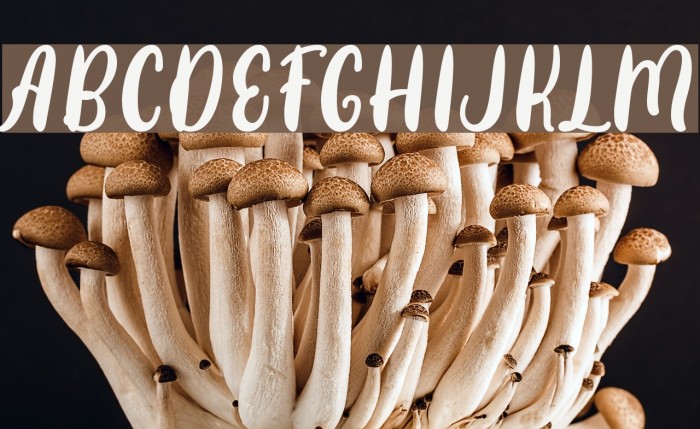 Sottee Font examples