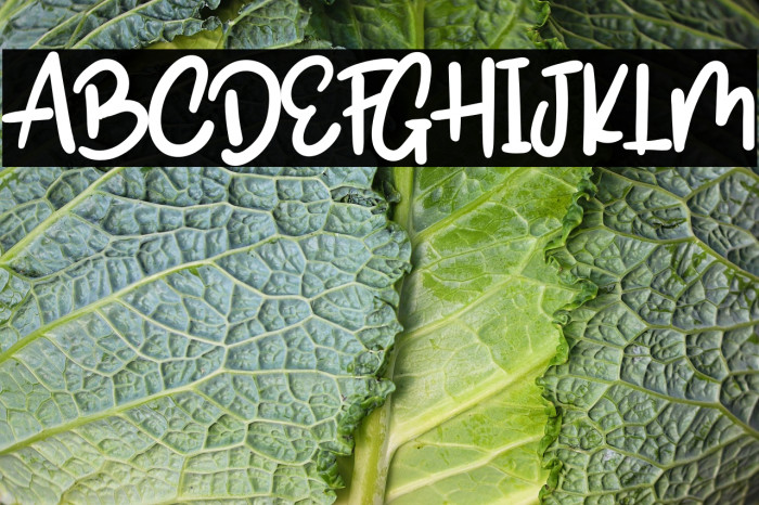 SoubathAmbyarRegular Example 1