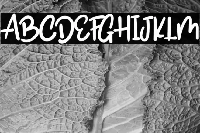 SoubathAmbyarRegular Font examples