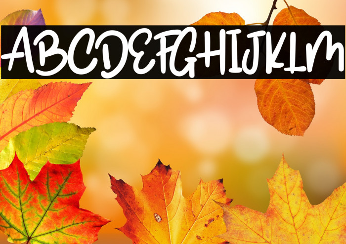 SoubathAmbyarRegular Example 3