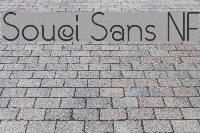 Souci Sans NF Font examples