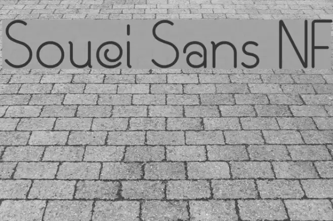 Souci Sans NF Font examples