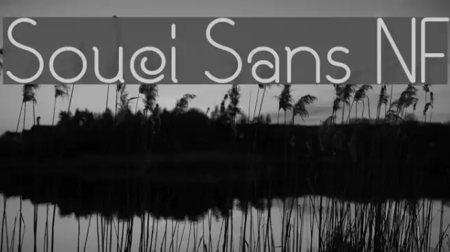 Souci Sans NF Font examples