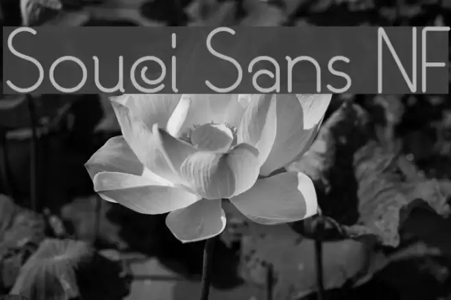 Souci Sans NF Font examples