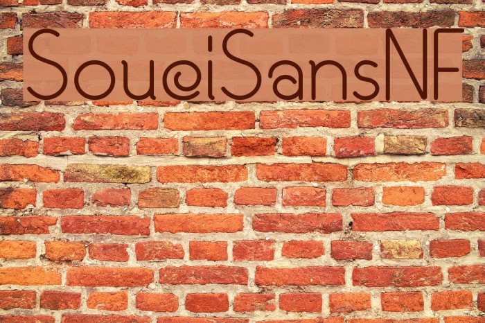 SouciSansNF Font examples