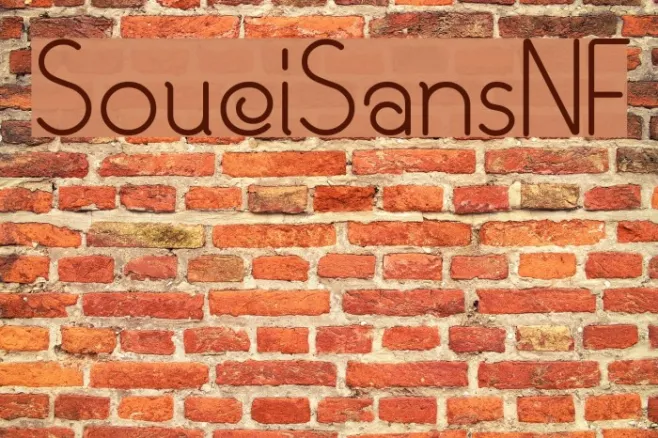 SouciSansNF Example 1