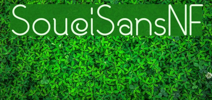 SouciSansNF Font examples