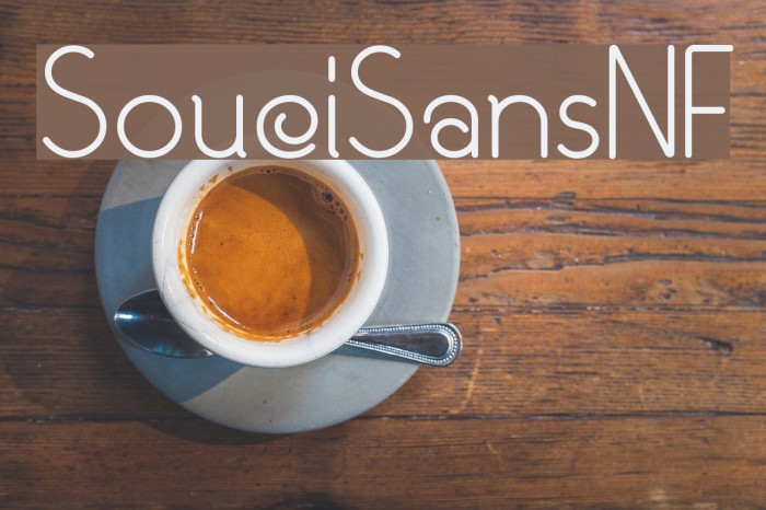 SouciSansNF Font examples
