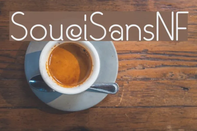 SouciSansNF Example 3