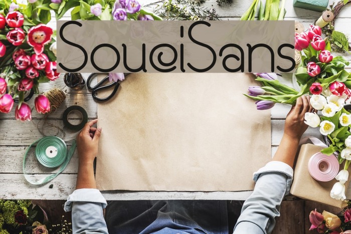 SouciSans Font examples
