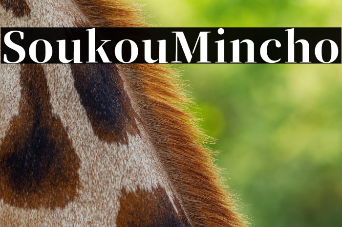 SoukouMincho Example 1