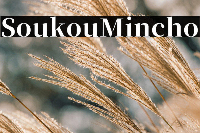 SoukouMincho Example 3