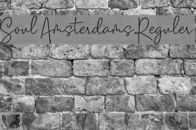 Soul Amsterdams Reguler Polices examples