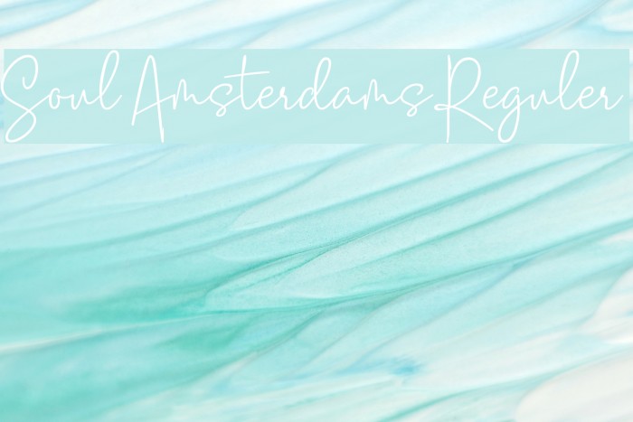 Soul Amsterdams Reguler Font examples