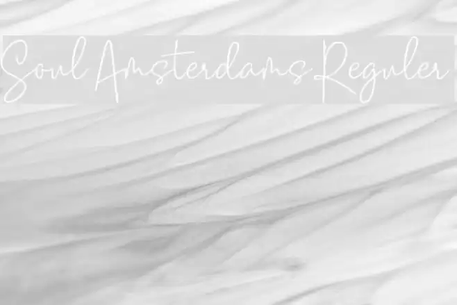 Soul Amsterdams Reguler Polices examples