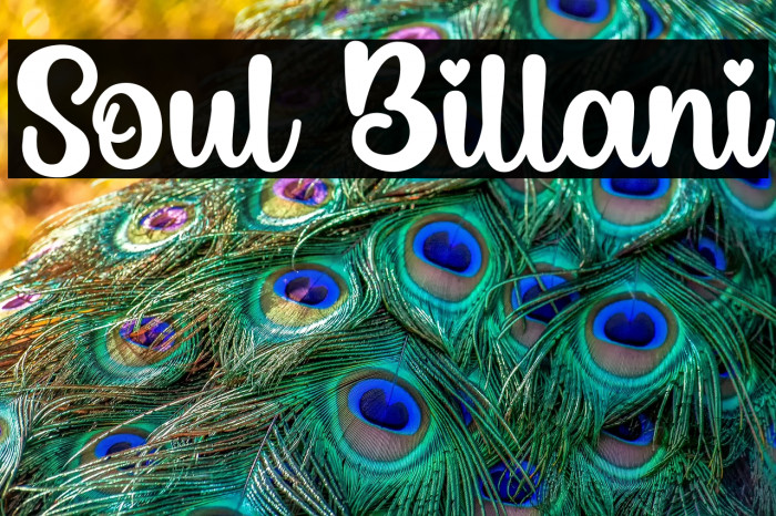 Soul Billani Example 2