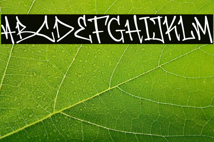 Soul Doubt Demo Version Example 3