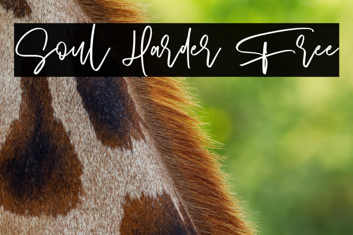 Soul Harder Free Example 2