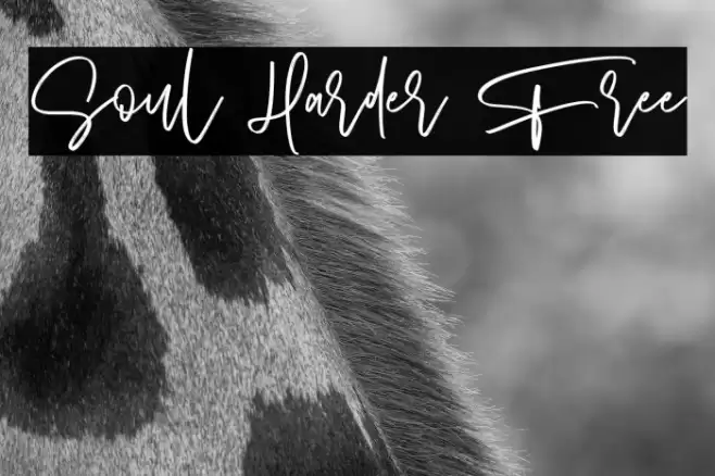 Soul Harder Free Font examples