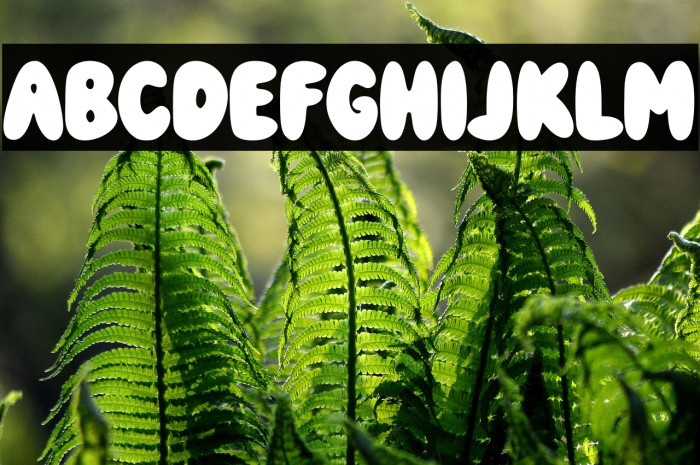 Soul Journey Example 1