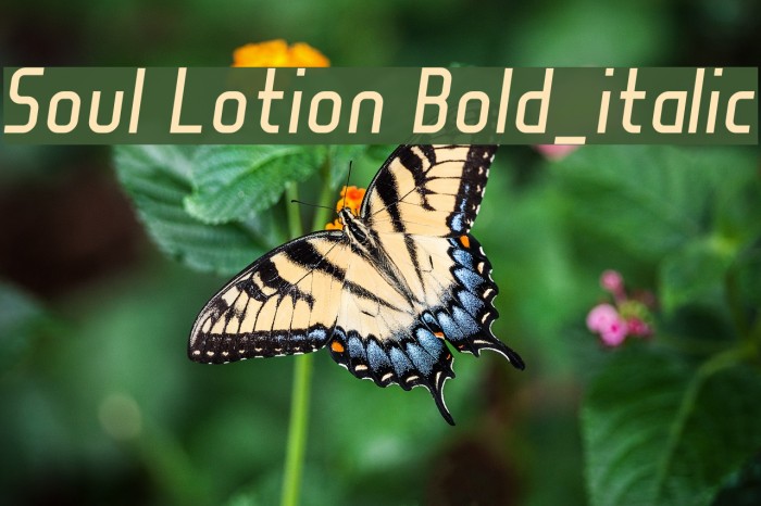 Soul Lotion Bold_italic Font examples
