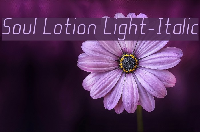 Soul Lotion Light-Italic Font examples