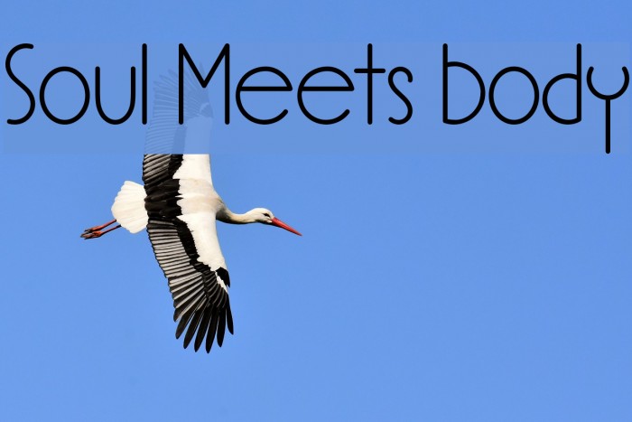 Soul Meets Body Font examples