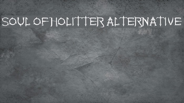 Soul Of Holitter Alternative Example 2