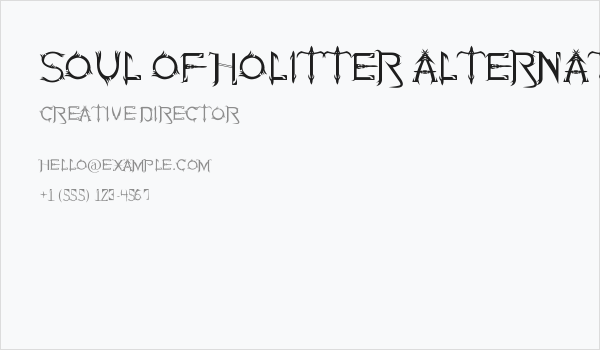 Soul Of Holitter Alternative Business Card