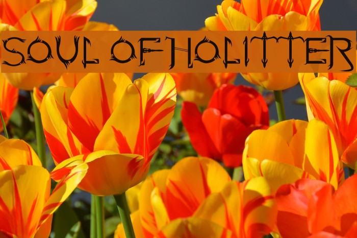 Soul Of Holitter Example 2