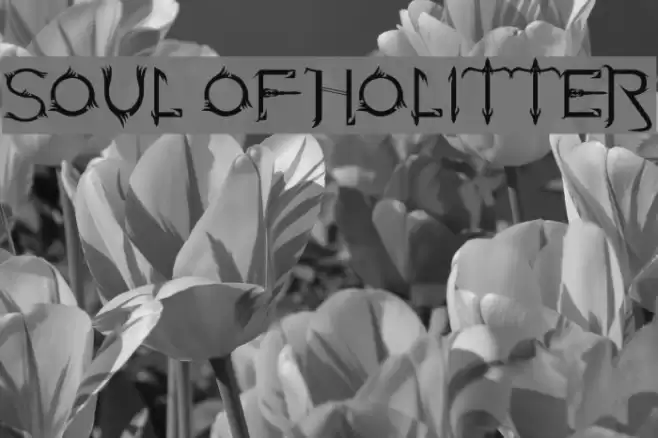 Soul Of Holitter Font examples