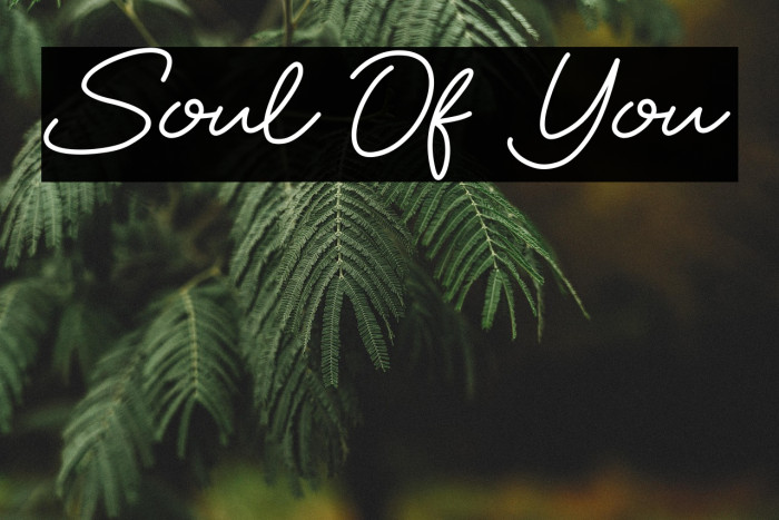 Soul Of You Example 1
