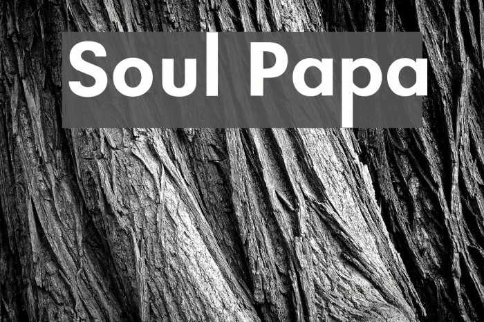 Soul Papa Font examples