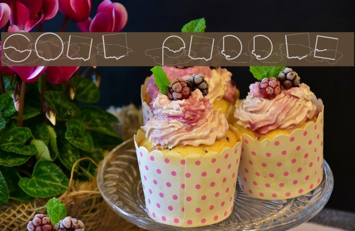Soul Puddle Font examples