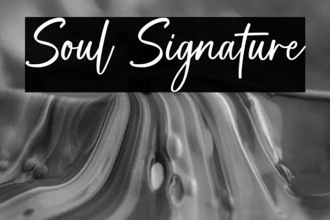 Soul Signature Font examples