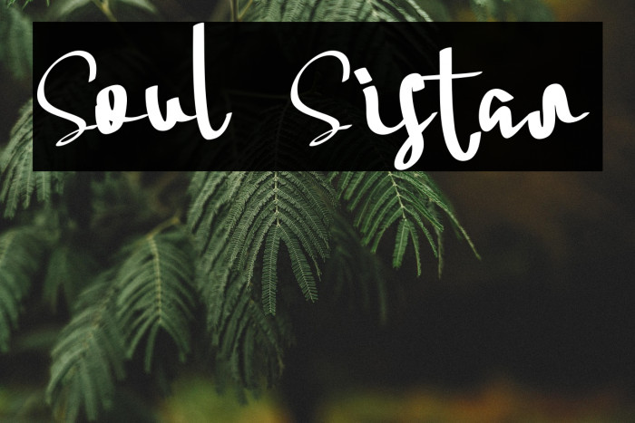 Soul Sistar Example 1