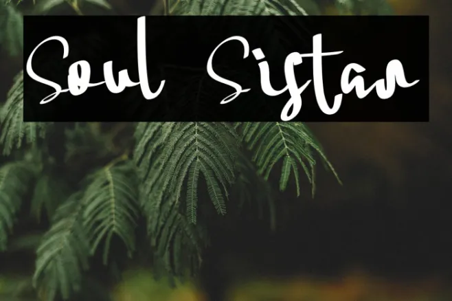 Soul Sistar Example 1