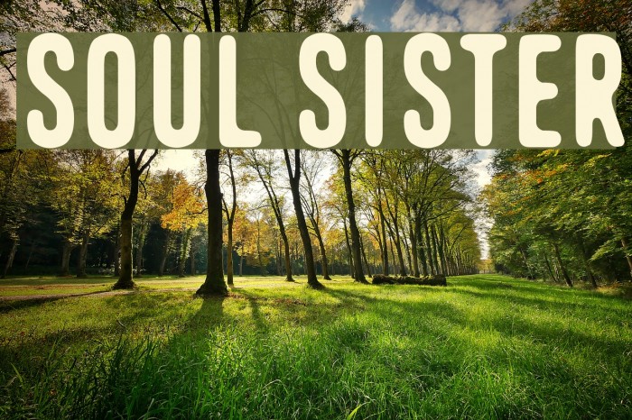 Soul Sister Font examples